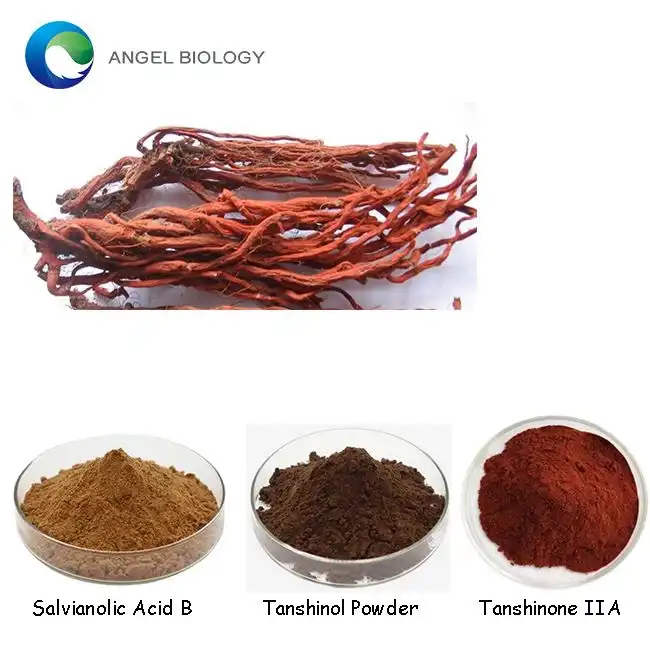 Salvia Miltiorrhiza Extract